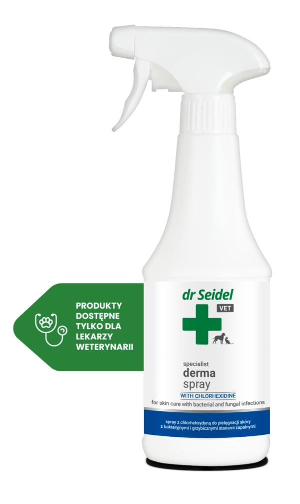 Derma Spray with chlorhexidine