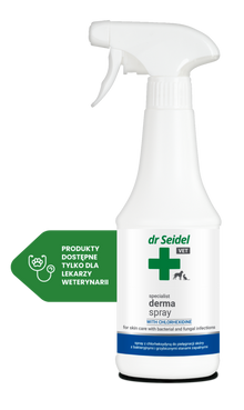 Derma Spray with chlorhexidine