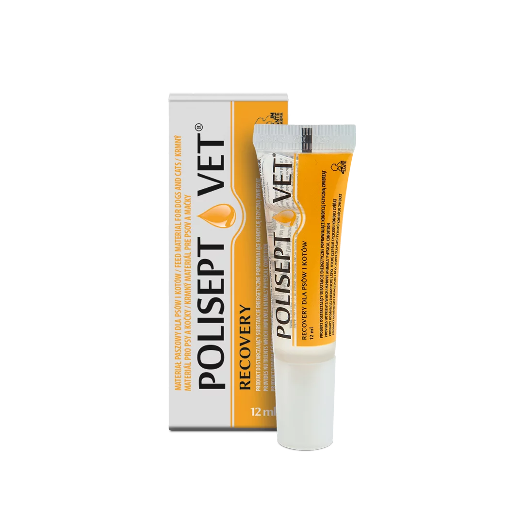 POLISEPT VET® RECOVERY – energy supplement for dogs and cats 12 ml